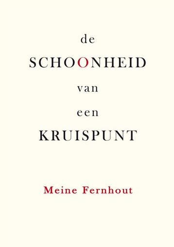 De Schoonheid Van Een Kruispunt | Meine Fernhout | Nieuw, Ophalen of Verzenden, Nieuw, Meine Fernhout