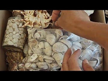 SUMMER Mysterybox 3 Bekijk video voor inhoud, Ophalen of Verzenden, Nieuw