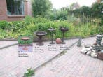 Vogeldrinkbak Vogelbad, Ophalen, Nieuw