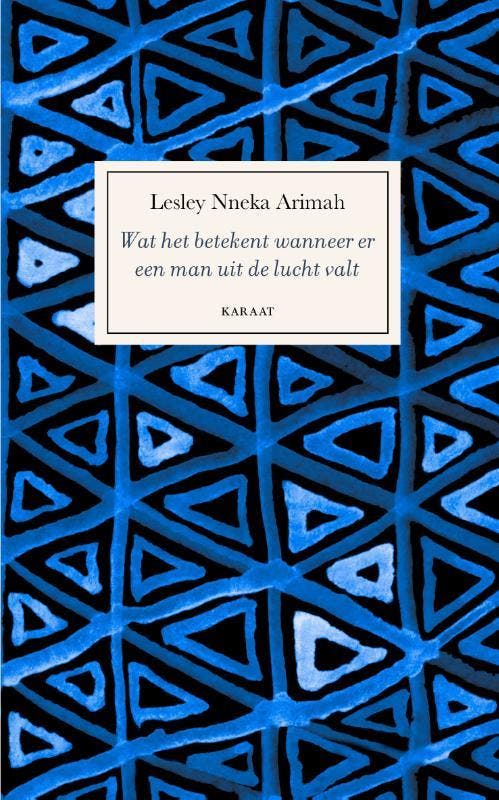 Wat het betekent wanneer er een man uit de lucht valt, Boeken, Romans, Zo goed als nieuw, Verzenden