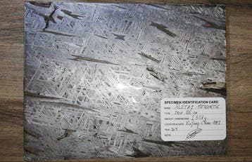 Indrukwekkende meteoriet uit Aletai. Een museumstuk.