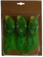 Prachtige vogeltjes op clip Groen 5,5x4,5x17 cm 3 stuks, Ophalen of Verzenden, Nieuw