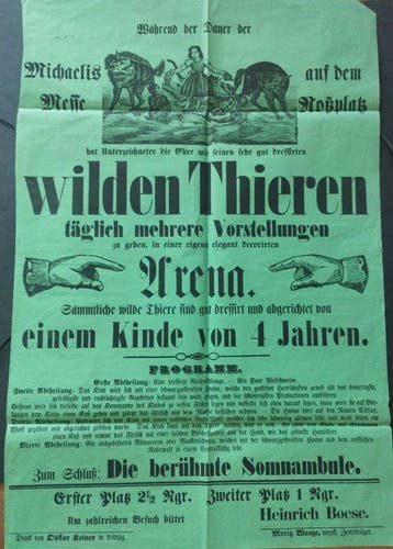 Sämmtliche wilde Thiere sind gut dressirt und abgerichtet