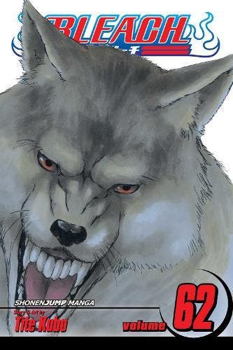 Bleach, Vol. 62, Boeken, Studieboeken en Cursussen, Verzenden