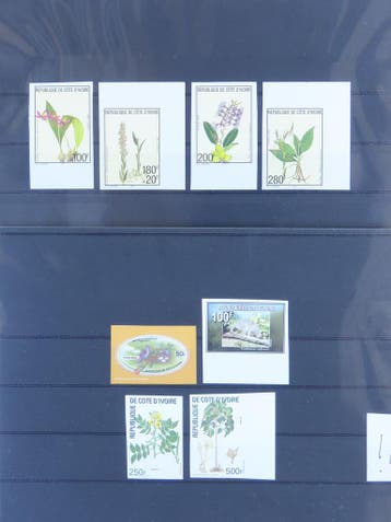 Ivoor Kust kavel met zeer zeldzame bloemen series, Ophalen of Verzenden