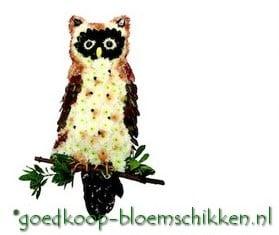 Uil steekschuimvorm oase voor verse bloemen, Ophalen of Verzenden, Nieuw