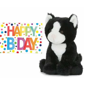 Pluche kat zwart-wit - knuffel - 18 cm - Happy Birthday, Verzenden, Nieuw