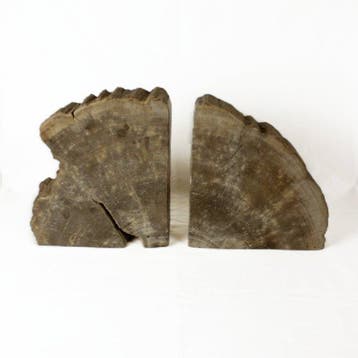 Boeksteunen van versteend hout - Gefossiliseerd hout - 35 cm