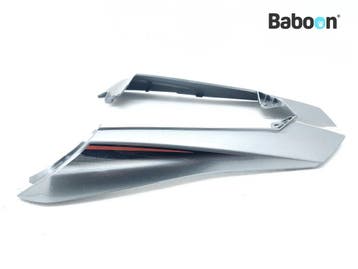 Kontpaneel Kawasaki Ninja 1000 SX 2020-2023 (ZX1002K), Motoren, Onderdelen | Kawasaki, Verzenden, Gebruikt