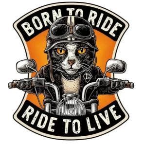 Otto motoronderhoud-reparaties-bandenservice