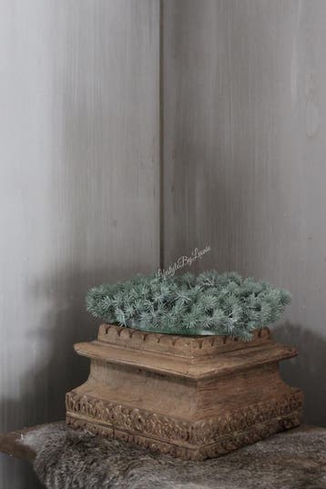 Namaak Ceder krans 27 cm, Ophalen of Verzenden, Nieuw