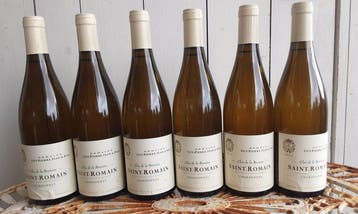 2013 Domaine Guy-Pierre Jean & Fils Clos de la Branière -, Nieuw