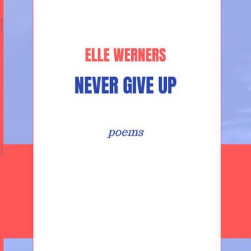 Never Give Up | ELLE WERNERS | Nieuw, Ophalen of Verzenden, Nieuw, ELLE WERNERS