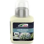 Cactus en vetplanten voeding | DCM | 250 ml, Tuin en Terras, Verzenden, Nieuw
