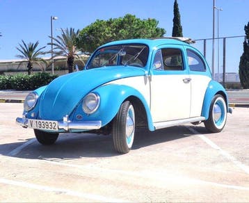 Volkswagen - Beetle Oval Sunroof - 1959