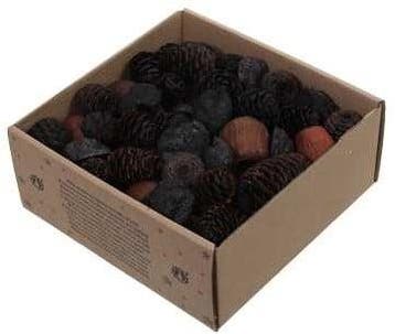 Leucodendron assortiment Zwart wash 640 gram, Ophalen of Verzenden, Nieuw
