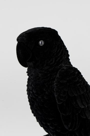 2dekans | Bold Monkey Papagaailamp - LED - Fluweel & PVC -, Ophalen of Verzenden, Nieuw