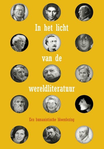 In het licht van de wereldliteratuur 9789067283007, Verzenden, Zo goed als nieuw