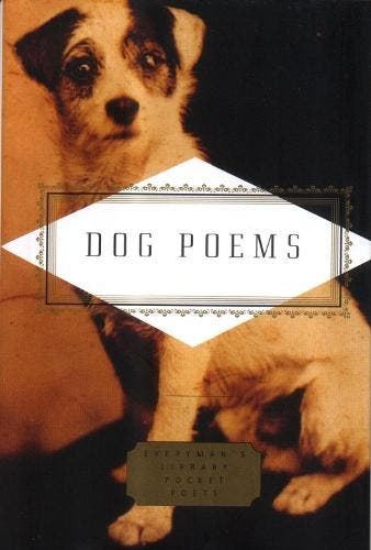 Dog Poems | Carmela Ciuraru | Nieuw, Ophalen of Verzenden, Nieuw
