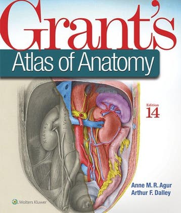 Grants Atlas of Anatomy - Anne M. R. Agur 9781496331472, Verzenden, Gelezen, Anne M. R. Agur