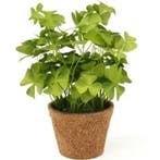 Kunstplant klavertje groen in pot 25 cm - Overige kunstpla.., Ophalen of Verzenden