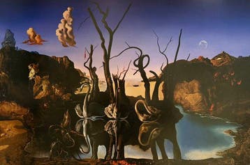 Salvador Dali (1904-1989) - SWANS REFLECTING ELEPHANTS,