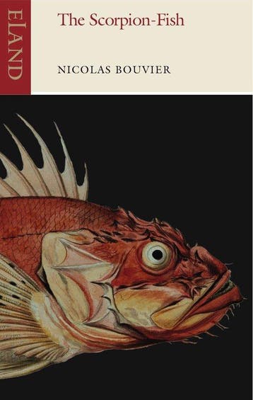 9781780600444 Scorpion Fish Nicolas Bouvier, Verzenden, Nieuw, Nicolas Bouvier