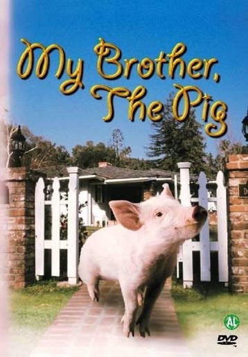 My brother the pig (dvd tweedehands film), Ophalen of Verzenden, Zo goed als nieuw