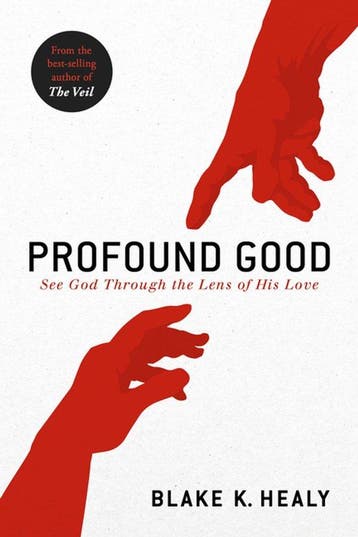 9781629995656 Profound Good: See God Through the Lens of ..., Verzenden, Nieuw, Blake K Healy