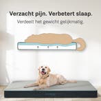 2dekans | CozySense® – Orthopedisch Hondenkussen 60 X 40 Cm, Ophalen of Verzenden, Zo goed als nieuw