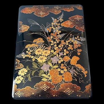 Japanese Lacquerware () – Ky-nuri () Document Box, Antiek en Kunst