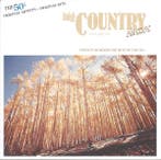 Various - Big Country Classics Volume Six, Ophalen of Verzenden, Gebruikt