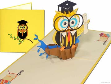 Geslaagd! Afgestudeerd! Wijze Uil Diploma Felicitatiekaart, Verzenden, Nieuw