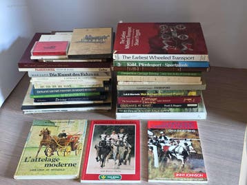 Algemene boeken over mennen (31x), Boeken, Nieuw