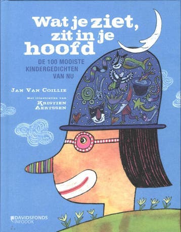 Wat je ziet, zit in je hoofd - Jan van Collie 9789059084254, Verzenden, Zo goed als nieuw, Jan van Collie