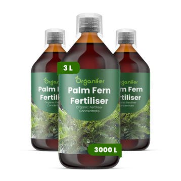 Palmvaren Vloeibare Meststof - Set 3x1 liter, Verzenden, Mest