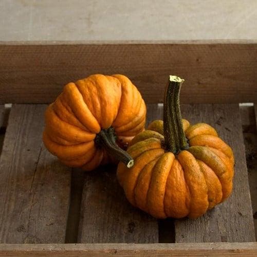 Kalebas Nr. 32-31 250 zaden, Hobby en Vrije tijd, Knutselen, Nieuw, Ophalen of Verzenden