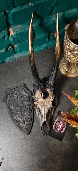 Ree Gesneden schedel - Caproleus caproleus - 25 cm - 11 cm -, Verzamelen, Nieuw