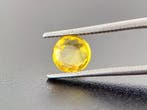 Zonder minimumprijs Geel Saffier - 1.18 ct - Gem Report, Sieraden, Tassen en Uiterlijk, Edelstenen, Nieuw