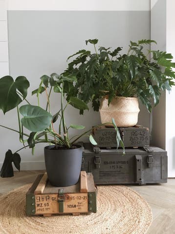 Legerkisten - MUNITIEKISTEN .   Uitgebreid Assortiment!, Gebruikt, 50 tot 100 cm, Ophalen of Verzenden, Minder dan 50 cm