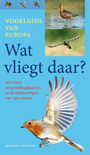 Wat vliegt daar? - Detlef Singer 9789059564428, Verzenden, Gelezen, Detlef Singer