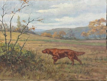 Jacques Cartier (1907-2001) - Setter irlandese in ferma