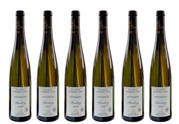 2021 Riesling - Grand Cru Osterberg - Cave de Ribeauvillé, Nieuw