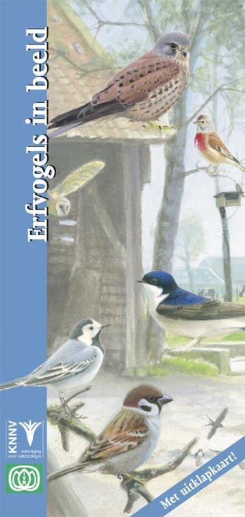 Erfvogels in beeld / In beeld / 24 - Rob Buiter, Verzenden, Zo goed als nieuw, Rob Buiter