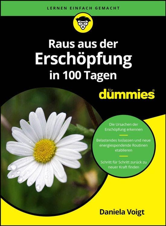 9783527724055 Fur Dummies- Raus aus der Erschoepfung in 1..., Boeken, Gezondheid, Dieet en Voeding, Zo goed als nieuw, Verzenden