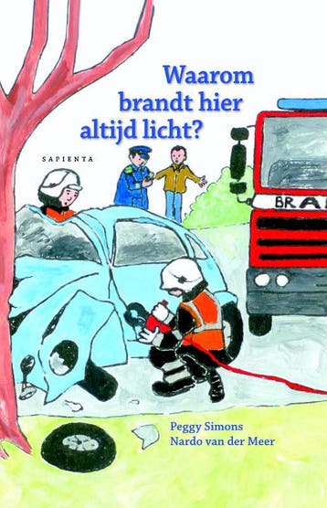 Waarom brandt hier altijd licht? - B. van der Meer, Boeken, Kinderboeken | Jeugd | onder 10 jaar, Verzenden, Gelezen, B. van der Meer