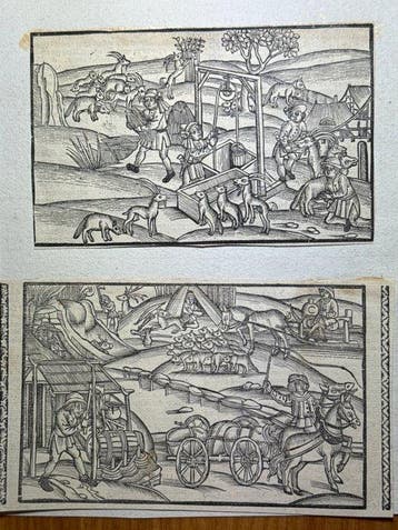 Johann Grüninger, Straßburg 1502 / Sebastian Brant - 2