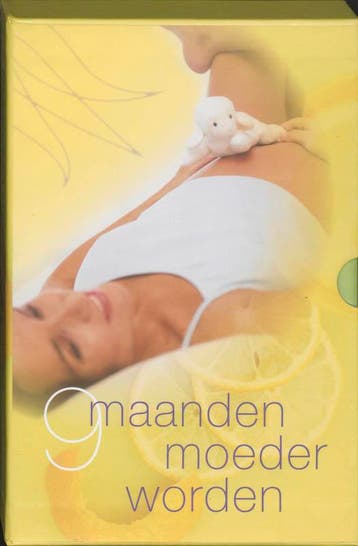 9 maanden moeder worden - L. Cornelissen 9789058971647, Verzenden, Gelezen, L. Cornelissen