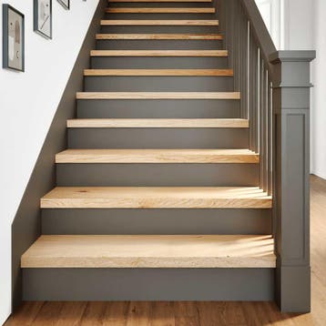 vidaXL Traptreden 4 st 100x30x2 cm onbehandeld massief, Verzenden, Nieuw