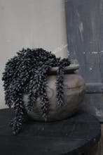 Namaak erwten hanger tak Black, Ophalen of Verzenden, Nieuw